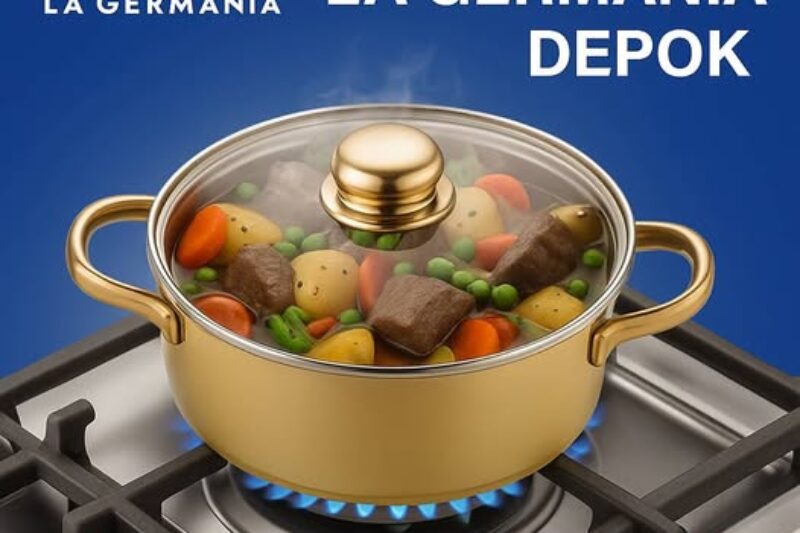 Service Center Kompor Gas La Germania depok